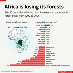 Map and bar charts showing deforestation per country